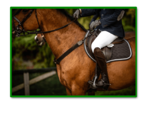 Sudaderos salvacruces y gruperas