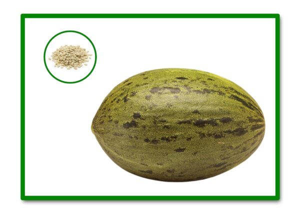 SEMILLAS MELON PIEL DE SAPO