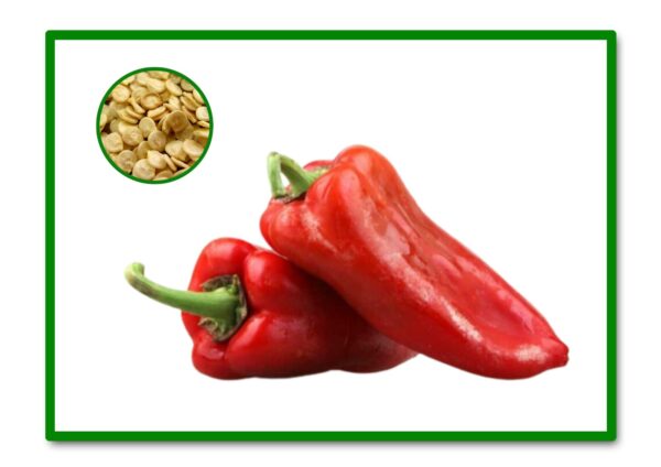 SEMILLAS PIMIENTO NAJERANO