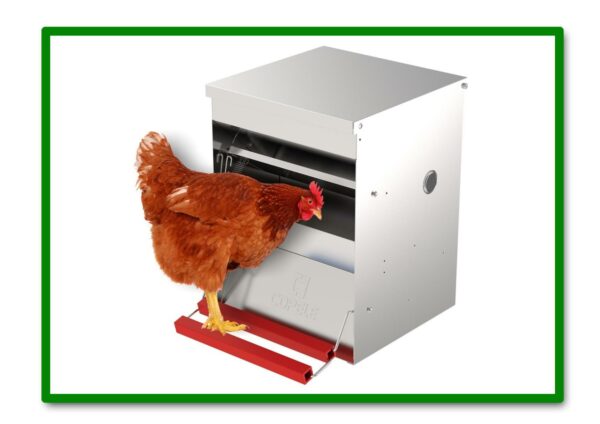 COMEDERO AUTOMATICO SAFEED PARA GALLINAS