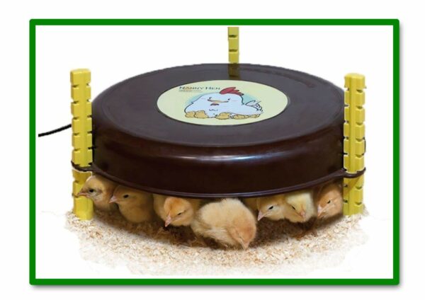 CALEFACTOR PARA POLLITOS NANNY HEN