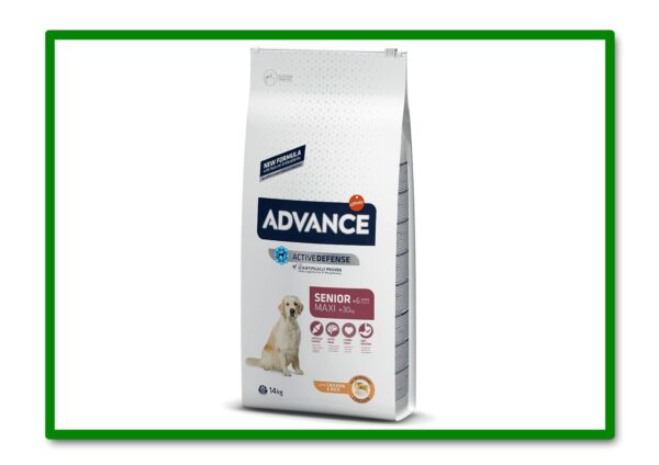 ADVANCE MAXI SENIOR CHICKEN & RICE 12 Kg