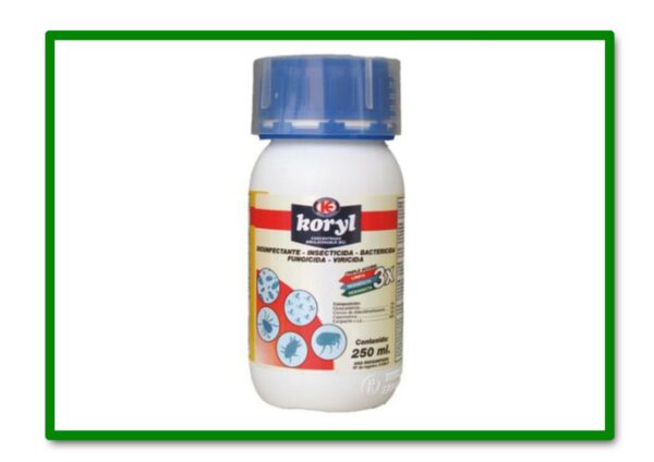 KORYL 250 Ml