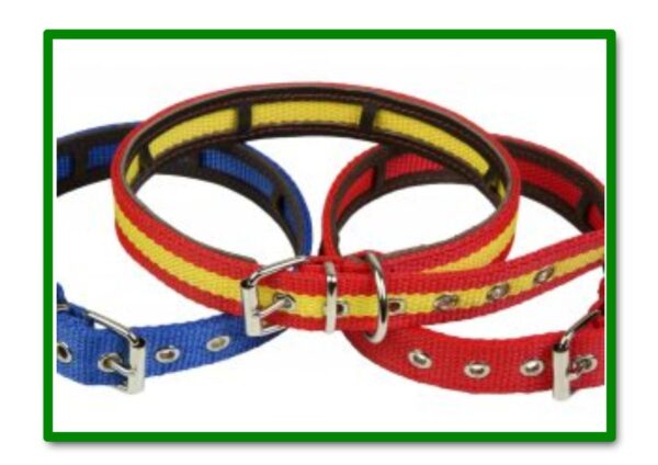 COLLAR PERRO NYLON DOBLE ANTIPARASITARIO