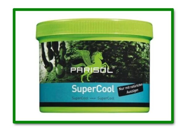 B&E SUPER-COOL 500 Ml. GEL DE TENDONES EXTRA NATURAL