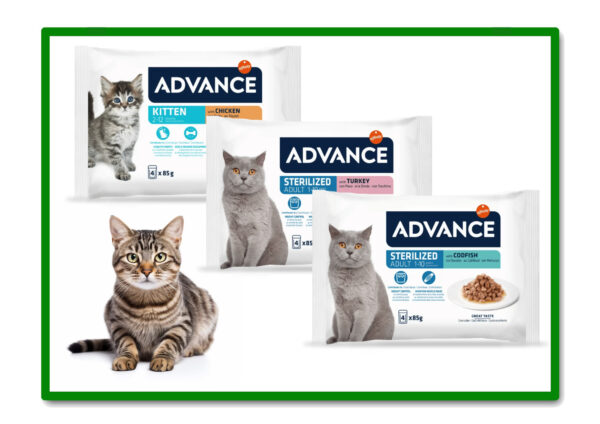 ADVANCE BOCADITOS EN SALSA MULTIPACK PARA GATOS 4x0.085kg