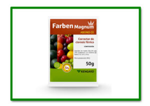 FARBEN MAGNUM CORRECTOR CLORISIS FERRICA 50GR