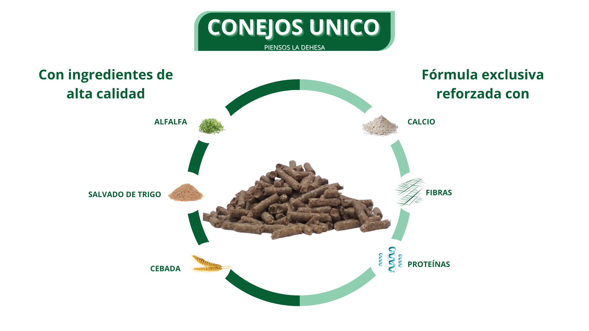 cag1111-conejos-unicos-3