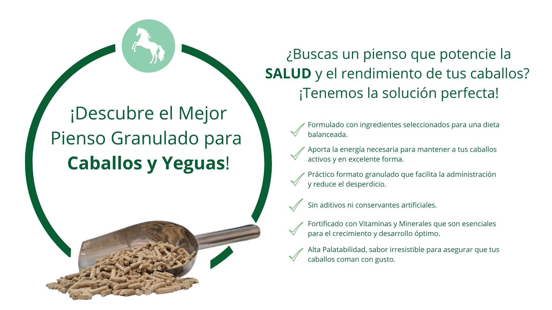eag1506-caballos-y-yeguas-2