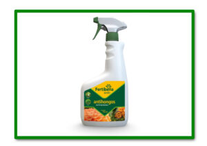 ANTIHONGOS ECOLOGICO 0.750 L