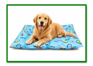 CAMA REFRESCANTE PARA MASCOTA(L) 68*91cm