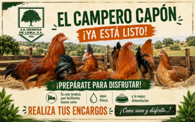 Reservar capones en septiembre y todo lo que necesitas saber antes de reservar un capón