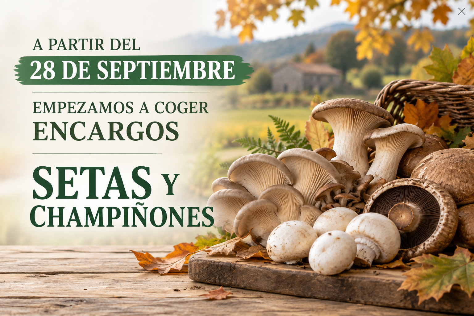 Encargos de setas y champiñones a partir del 28 de septiembre en La Dehesa de Lema